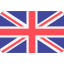 Infobiz ro language